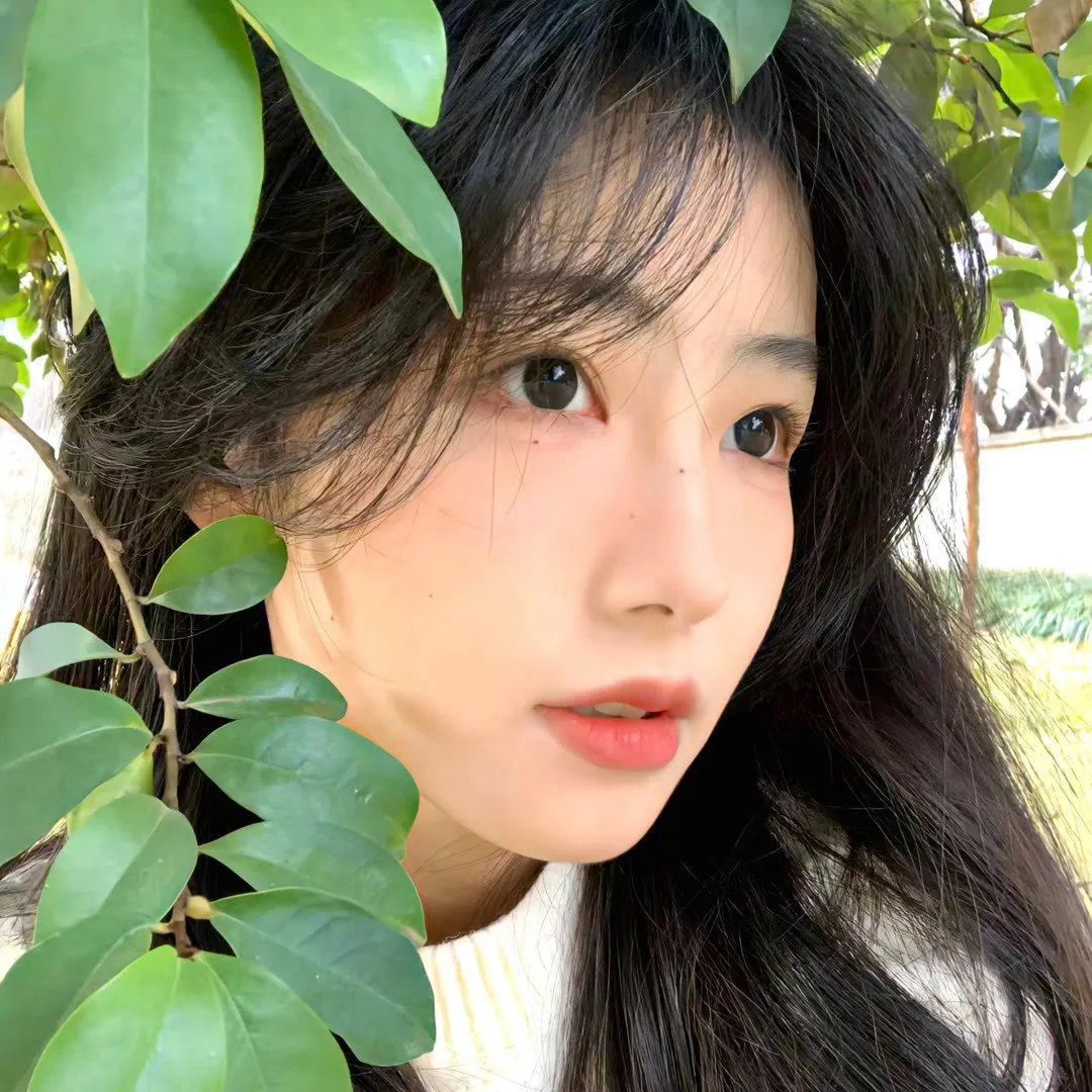 心慌方 在线观看