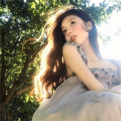 我私人的爱达荷